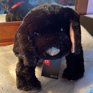 Two Blind Brothers Beacon stuffed animal dog 👀